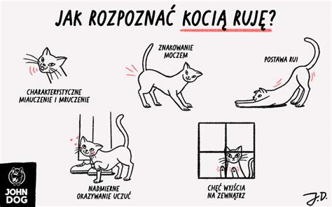 ruja u czowieka|Ruj